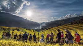 Những cung đường "săn ảnh" ruộng bậc thang mùa vàng