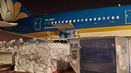 Doanh nghiệp vận tải chuyển hướng kinh doanh trong mùa dịch