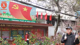 Lên ngay chợ hoa Hàng Lược để thấy Tết về