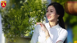 Ngẩn ngơ ngắm hoa khôi sinh viên Hà Nội khoe sắc bên cúc họa mi