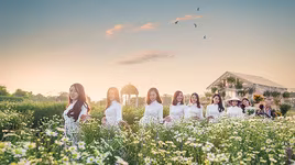 Những địa điểm chụp cúc họa mi "đẹp không tưởng" tại Hà Nội