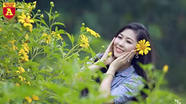 Giới trẻ "phát cuồng" với thảm hoa dã quỳ giữa lòng Hà Nội