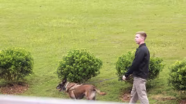 Mật vụ Mỹ dắt chó nghiệp vụ đi kiểm tra quanh khách sạn Marriott