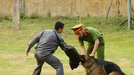 Xem cảnh khuyển tranh tài tấn công tội phạm, phát hiện ma túy, thuốc nổ