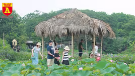 Thiếu nữ Hà thành nô nức khoe sắc cùng mùa sen nở