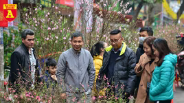 Rực rỡ sắc xuân ở chợ hoa Hàng Lược