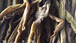 Hơn 1,3 tấn nội tạng bốc mùi tập kết dưới gầm cầu