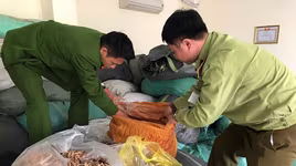 Thu giữ hơn 7 tấn thuốc bắc không rõ nguồn gốc