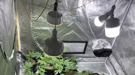 Bí mật trong căn phòng thuê trọ luôn đóng kín cửa của gã trai