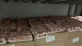 Nguỵ trang nhà vườn để kinh doanh chân gà không rõ nguồn gốc