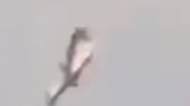 [VIDEO] Khoảnh khắc chiếc máy bay chở gần 100 người lao xuống đất nổ tung