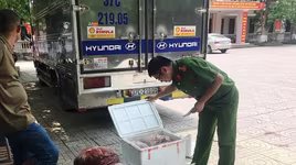 Bắt giữ gần 100kg nội tạng không rõ nguồn gốc chuẩn bị lên bàn nhậu