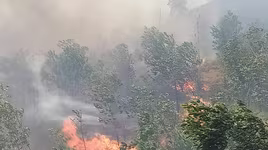 Người phụ nữ tử vong thương tâm khi tham gia chữa cháy rừng