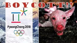 Các nhà hàng thịt chó vẫn phục vụ khách tại Pyeongchang, Hàn Quốc