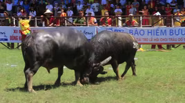 "Thương mại hóa" lễ hội sẽ gây ra những biến tướng khó lường