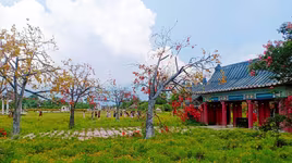 [ẢNH] Những "thiên đường hoa" ở Long Biên