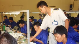 Cai nghiện ma túy bắt buộc đã rất cấp bách