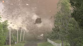 Thiên tai và những sự sống sót thần kỳ của con người