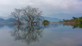 [AUDIO 28-10-2019] Việt Nam có thêm 4 danh hiệu Vườn Di sản ASEAN