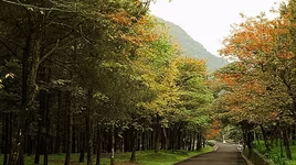 10 địa điểm vui chơi lãng mạn, trẻ trung ngày 20-10 quanh Hà Nội