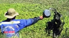 Kinh doanh thực phẩm bẩn: "Giằng xé"… giữa lương tâm và đồng tiền