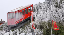 [ẢNH]: Ghé thăm những "thiên đường tuyết trắng" đẹp nhất Việt Nam