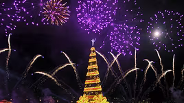 [ẢNH] Không thể bỏ lỡ cơ hội chiêm ngưỡng 10 cây thông Giáng sinh đang giữ kỷ lục thế giới