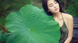 Mùa sen Hà Nội nở rộ, giới trẻ đua nhau "tạo dáng"