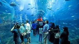 Từ vụ du khách 15 tuổi người Việt bị mất tích tại Anh: Những lưu ý khi đi du lịch nước ngoài lần đầu