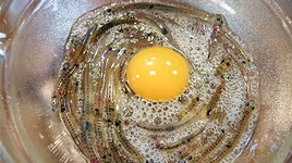 [ẢNH] Top 10 món ăn Nhật Bản khó nuốt nhất với du khách