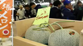 [ẢNH] Những loại quả đơn giản nhưng có giá đắt đỏ bậc nhất thế giới