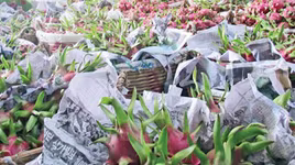 [ẢNH] Các mặt hàng nông sản trái cây Việt "lao đao" vì dịch virus corona