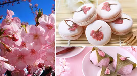 [ẢNH] Top 9 món ăn "độc lạ" từ hoa anh đào chỉ có tại Nhật Bản