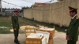 Xe khách vận chuyển hơn nửa tấn thịt chó, mèo bốc mùi hôi thối