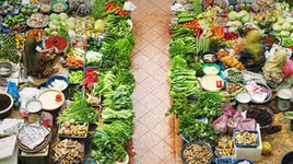 Một số nguyên nhân dẫn đến mất an toàn thực phẩm tại Việt Nam