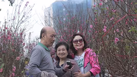 Phố phường Hà Nội ngập tràn không khí Tết