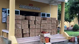 Bắt nhóm đối tượng vận chuyển 3,2 tấn pháo lậu