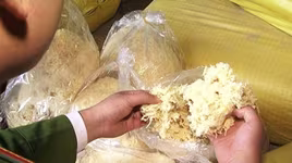 Bắt quả tang vụ vận chuyển 1 tấn ruốc làm từ sắn dây