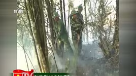 Nguy cơ cháy rừng do nắng nóng