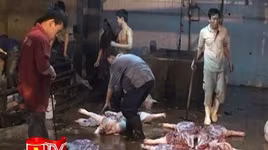 Nhiều khu giết mổ gia súc, gia cầm tập trung sẽ được xây dựng