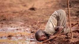 Thông điệp về môi trường thế giới qua những bức ảnh đoạt giải CIWEM 2019