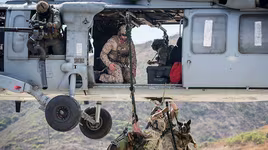 [Ảnh] Hé lộ quy trình tuyển mộ và huấn luyện chó nghiệp vụ của đặc nhiệm Mỹ