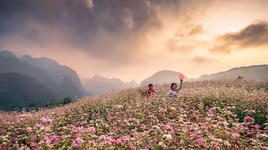 Chương trình "Huyền thoại loài hoa tam giác mạch": Ngợi ca tình đoàn kết giữa 54 dân tộc anh em