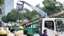 Đường phố Hà Nội một ngày sau giông lốc kinh hoàng