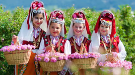 Lễ hội hoa hồng Bulgaria lần thứ 2 được tổ chức tại Hà Nội