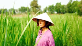 Ngô Thanh Vân hiện thực hóa ước mơ mang phim Việt ra thế giới