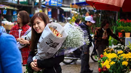 Những sắc hoa Tết ngập tràn phố phường Hà Nội
