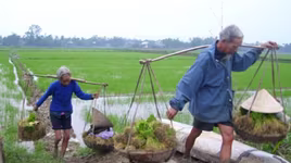 Hơn 10 năm nữa, có tới gần 20% dân số ở nước ta là… người cao tuổi