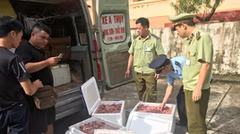 Kiểm soát chống buôn bán, vận chuyển lợn, sản phẩm từ lợn nhập lậu