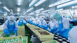 Tăng trưởng GDP có thể không đạt được mục tiêu do dịch bệnh corona